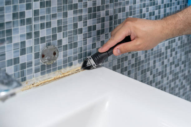 Best Home Mold Removal  in Woodcreek, TX